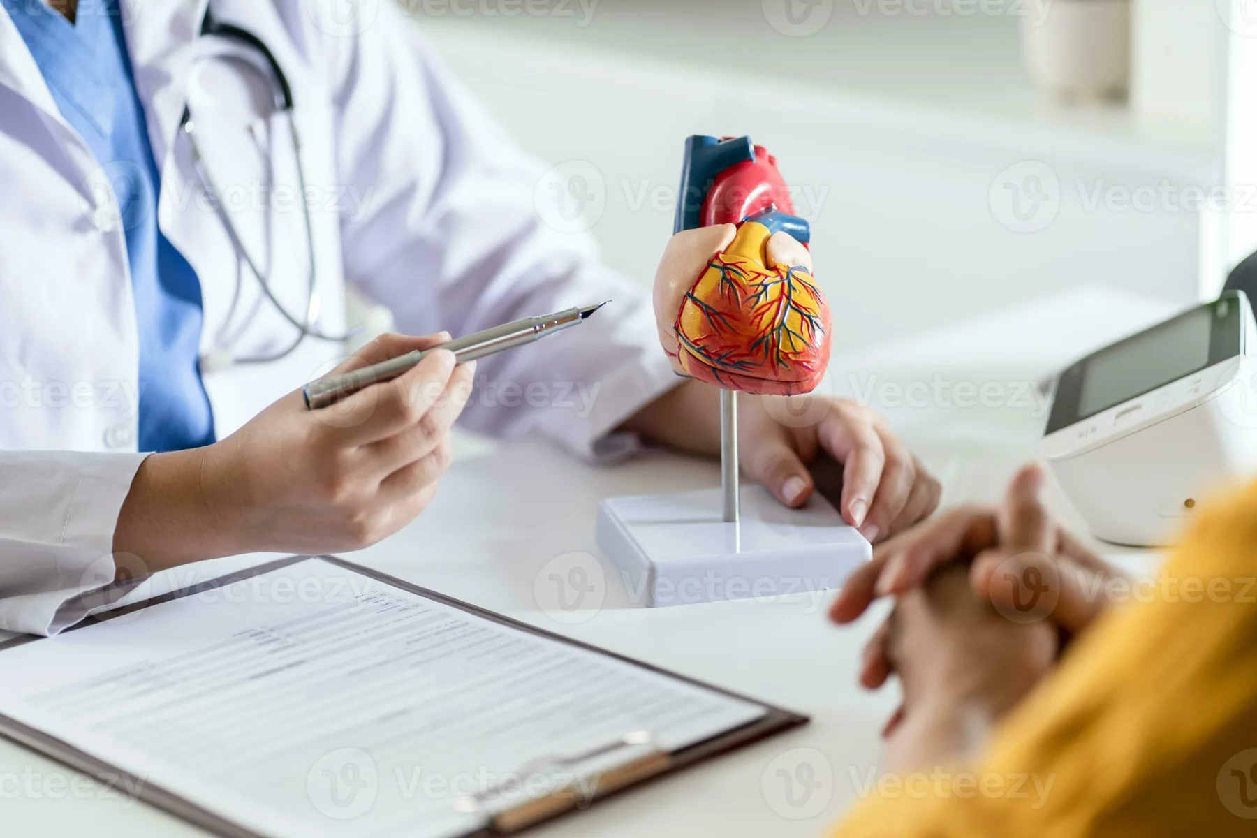 Heart Consultation at Draupadi Devi Memorial Hospital